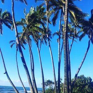 Meet your Posher, Kekendall